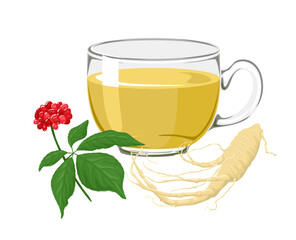 Ginseng tea in a glass cup. Vector illustration of a healing drink, ginseng root and plant isolated. Cartoon flat style.