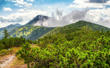 Hill Sivy Vrch in Western Tatras, Slovakia. Summer mountain landscape