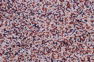 Close up of black, red and white quinoa grains as background