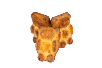 fresh sponge cookies in the form of bears on a white background