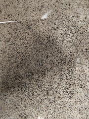 concrete wall texture 