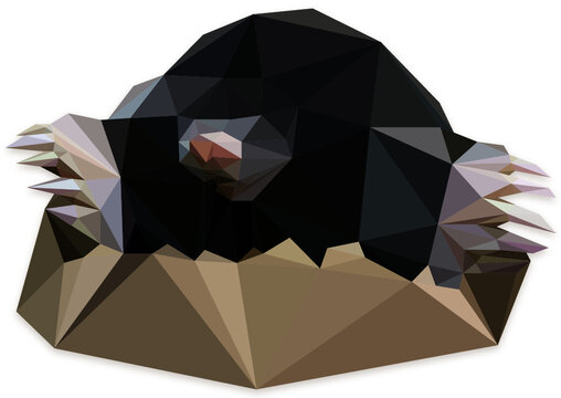 Lowpoly Mole Vector Illustration