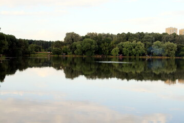 Fototapeta na wymiar summer landscape of the pond in the city Park
