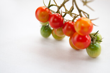 赤く熟れたミニトマト 白背景