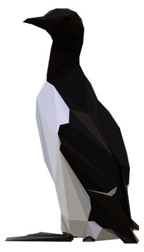 Lowpoly Guillemot Vector Illustration