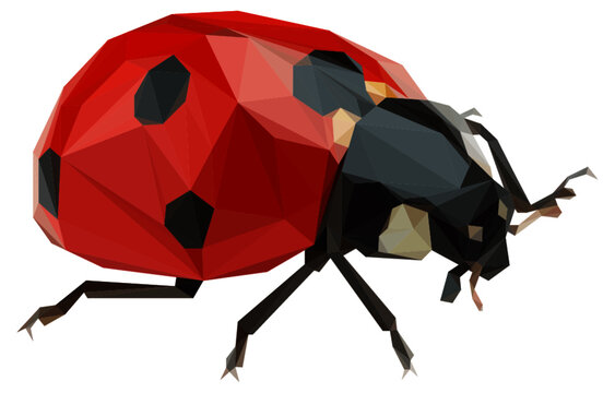 Lowpoly Ladybird Vector Illustration