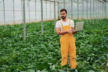 Young greenhouse worker in yellow uniform with laptop in hands have job inside of hothouse