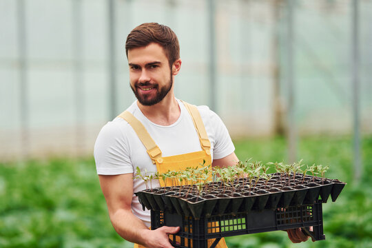 With black stand for plants in hands. Young greenhouse worker in yellow uniform have job inside of hothouse