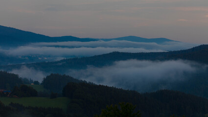 Obraz premium Evergreen mountain forest covered in fog. Epic mountain scene.