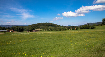 Idyllic landscape in the bavarian alps with fresh green meadows and fir trees, Bodenmais, bavarian forest, germany