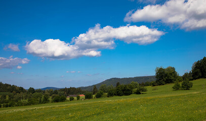 Idyllic landscape in the bavarian alps with fresh green meadows and fir trees, Bodenmais, bavarian forest, germany