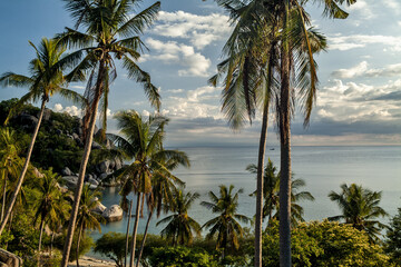 Beautiful tropical beach at exotic island with palm trees in Koh Tao, Thailand