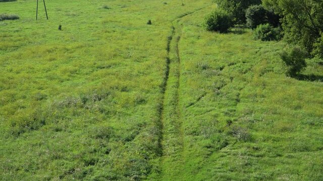 An aerial view of a meadow with low growing green wild grass and rural road trace. Panoramic scene of the summer season in a suburban pasture. The breadth of the countryside environment.