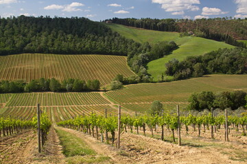 Fototapeta premium Landscape near San Gimignano, Province of Siena, Tuscany, Italy, Europe 