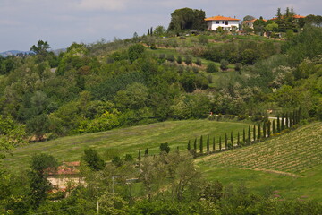Fototapeta na wymiar Landscape near San Gimignano, Province of Siena, Tuscany, Italy, Europe 