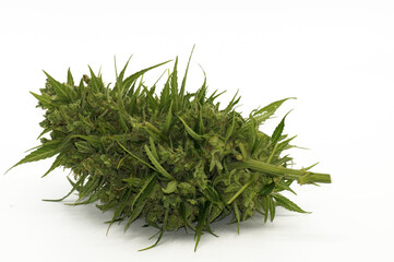 Cannabis Hanf Droge Marihuana Haschisch freigestellt auf weißem Hintergrund