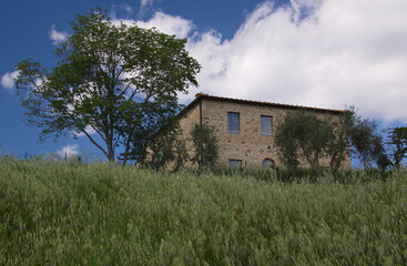 Residential house at hiking track from Montauto to Santa Lucia, Province of Siena, Tuscany, Italy, Europe 
