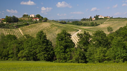 Landscape near San Gimignano, Province of Siena, Tuscany, Italy, Europe
