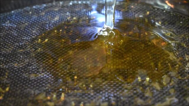 Honig rinnt aus der Honigschleuder, gelber, goldener Honig bei der Honigernte