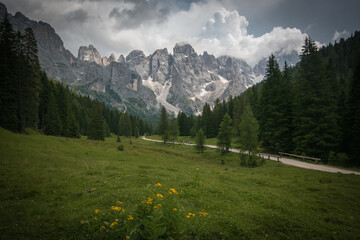 Fototapeta na wymiar Dark view of Val Venegia during summer rainy day in Trentino, Italy