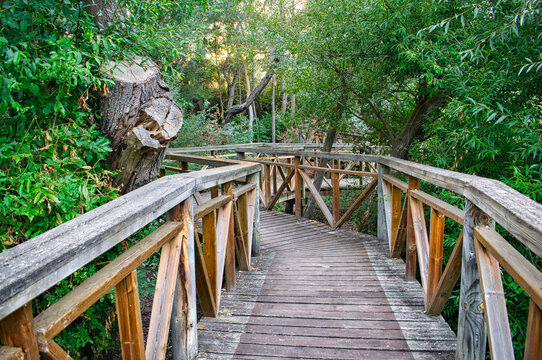 Pasarela de madra y senderismo en la reserva natural de Castronu&ntilde;o - Vega del rio Duero
