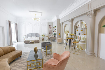 chic luxury interior in an old antique style open-plan apartment decorated with columns and stucco...