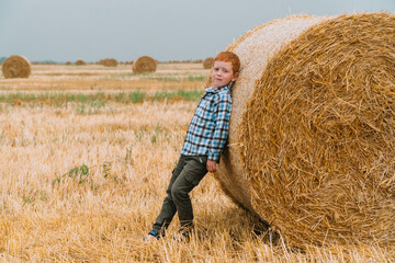 Naklejka na ściany i meble The red-haired boy leaned on a straw bale in the middle of a wheat field with bales on a summer evening