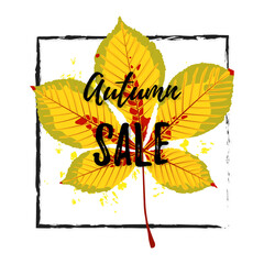 Vector illustration, Autumn maple leaf . Text sale Autumn. Templates for placards, banners, flyers, presentations, reports.