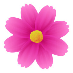 濃いピンク色のコスモスのイラスト