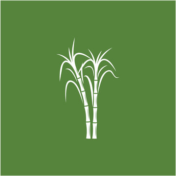 Sugar cane Logo Template vector symbol