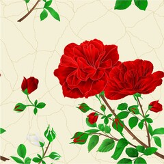 Seamless texture bouquet of red   roses and rosebuds festive background like cracks on porcelain watercolor vintage vector botanical illustration editable hand draw