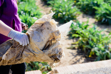 People collect garbage from their streets to clean their fields of contamination.
