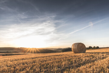 Strohballen (Rundballen) auf abgeerntetem Feld, Sonnenuntergang mit Blendenstern