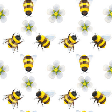 Wild bees pollinate flowers. Seamless pattern with insects and a flower on a white background. Summer ornament. Day of the beekeeper. The world day of protection of bees. Stock images for printing o