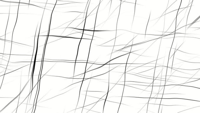 Scribbly Didly