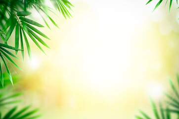 Closeup nature view of green leaf on blurred greenery background in garden with copy space for text using as summer background natural green plants landscape, ecology, fresh wallpaper concept.