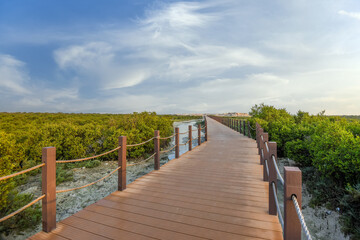 Purple Island full of Mangrove in Thakira. Known as Dakhira