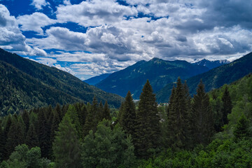 Fototapeta na wymiar Aerial view. Green tree forest background.Beautiful bird eye view on fresh pines in the morning sunlight, Europe, Italy, Alpine mountains.