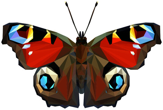 Lowpoly Peacock Vector Illustration