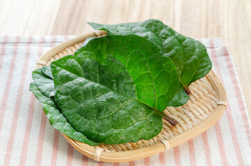 ツルムラサキの葉　家庭菜園