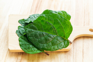 ツルムラサキの葉　家庭菜園