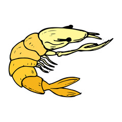 Shrimp in the sea hand drawn