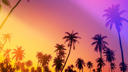 Fototapeta na wymiar Copy space of silhouette tropical palm tree on sunset sky with bokeh light leak abstract background. Summer vacation and nature travel adventure concept.