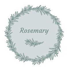 Obraz premium Sprig of rosemary. Design template. Vector illustration. Retro style.