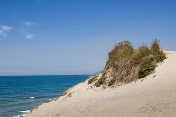 Beach with grassy dunes