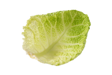Savoy cabbage leaf isolated on white background