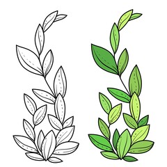 Green seaweed coloring book linear drawing isolated on white background