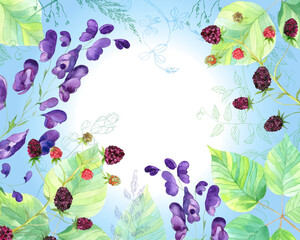 A postcard on a summer theme. Vegetable border. Monkshood flowers, BlackBerry branch with berries, meadow grasses, cereals on a light background.