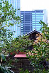 庭園の日本家屋とビルディング