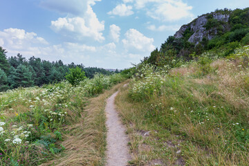 Fototapeta na wymiar Hiking trail in the Jura Upland in Poland